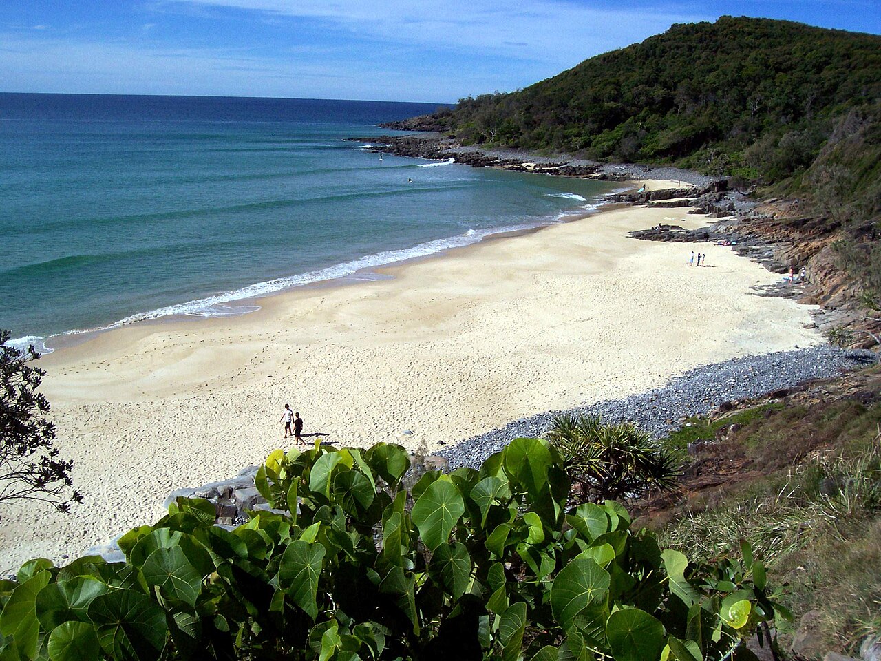 Noosa Day Trip